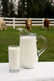 dairy milk healthy unhealthy casein allergy intolerance lactose organic health