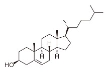 oxidized cholesdterol
