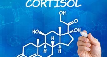 cortisol